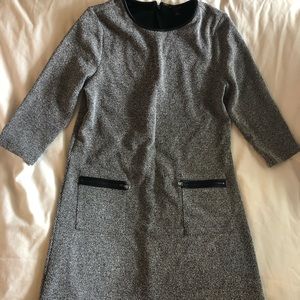 Ann Taylor Petite Dress